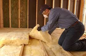 Trusted Burgaw, NC Insulation Installation & Removal Experts